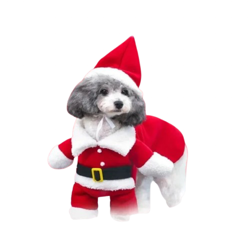 Costume de noël pour chien