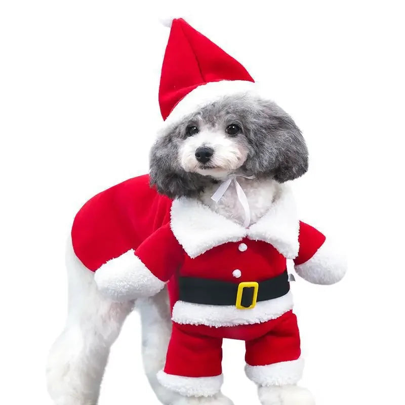 Costume de noël pour chien
